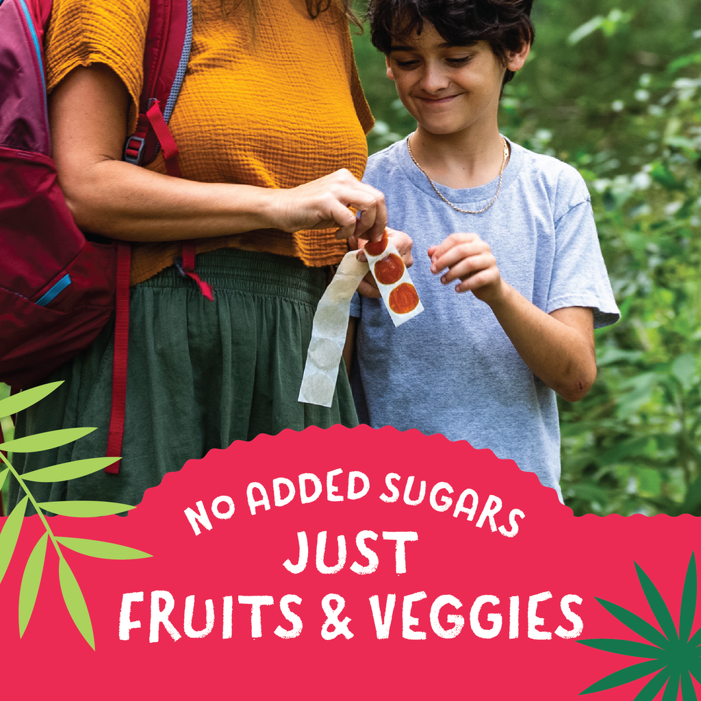 YOU LOVE FRUIT Organic Fruit Snacks — 1 oz Pouches, Pack of 12